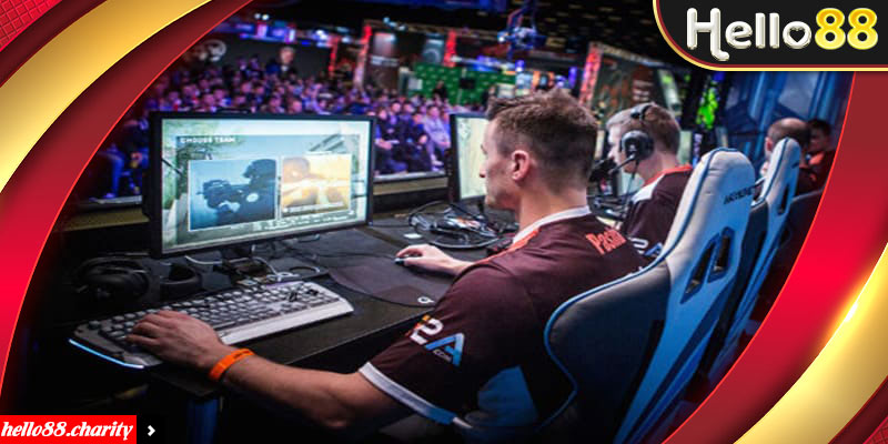 Tóm tắt đôi điều giới thiệu chung về Bet sport