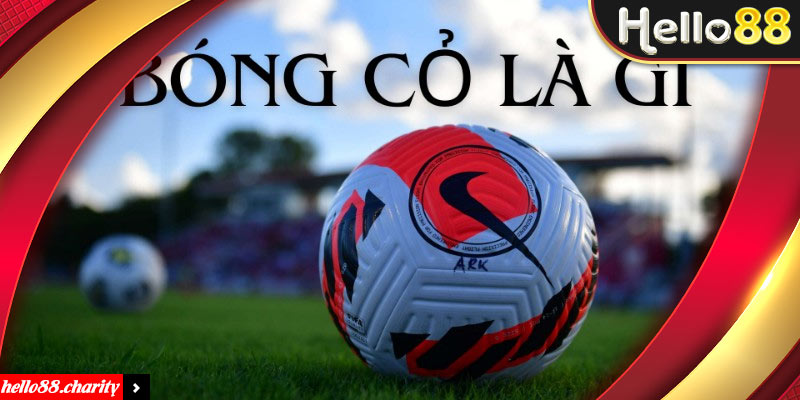 Tóm tắt vài nét chung về kèo bóng cỏ cho người mới bắt đầu